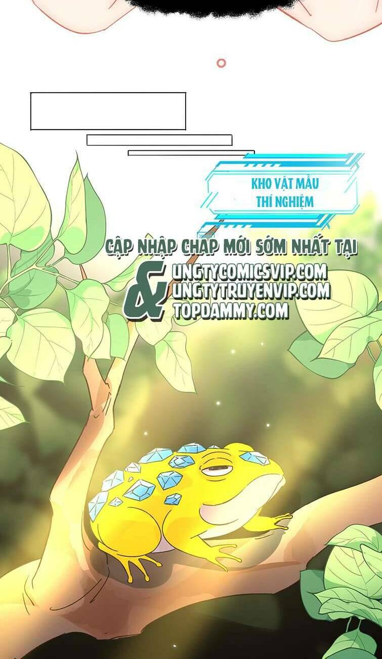 Tôi Phải Làm Một Kẻ Đại Xấu Xa Chapter 95 - Trang 2