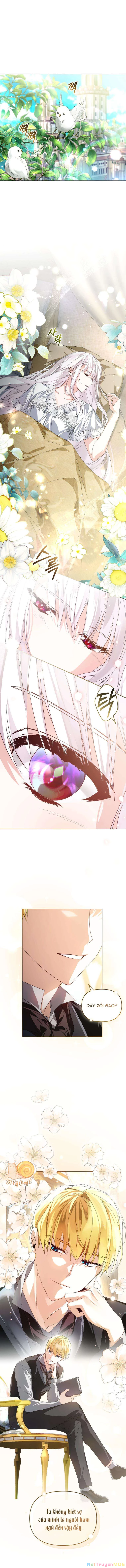 Tôi Rơi Vào Vòng Tay Của Kẻ Điên Rồ Chapter 4 - Trang 2