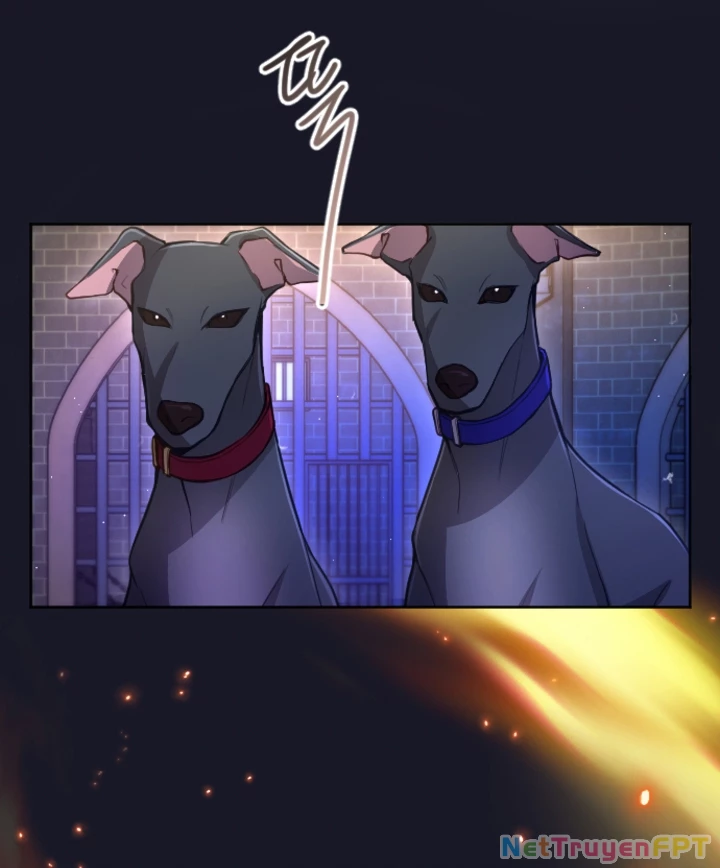 Tôi Sẽ Bị Trừ Khử Cùng Hoàng Đế Chapter 105 - Trang 2