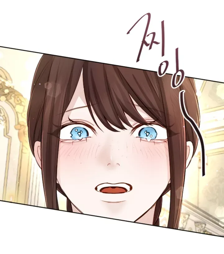 Tôi Sẽ Bị Trừ Khử Cùng Hoàng Đế Chapter 110.2 - Trang 2