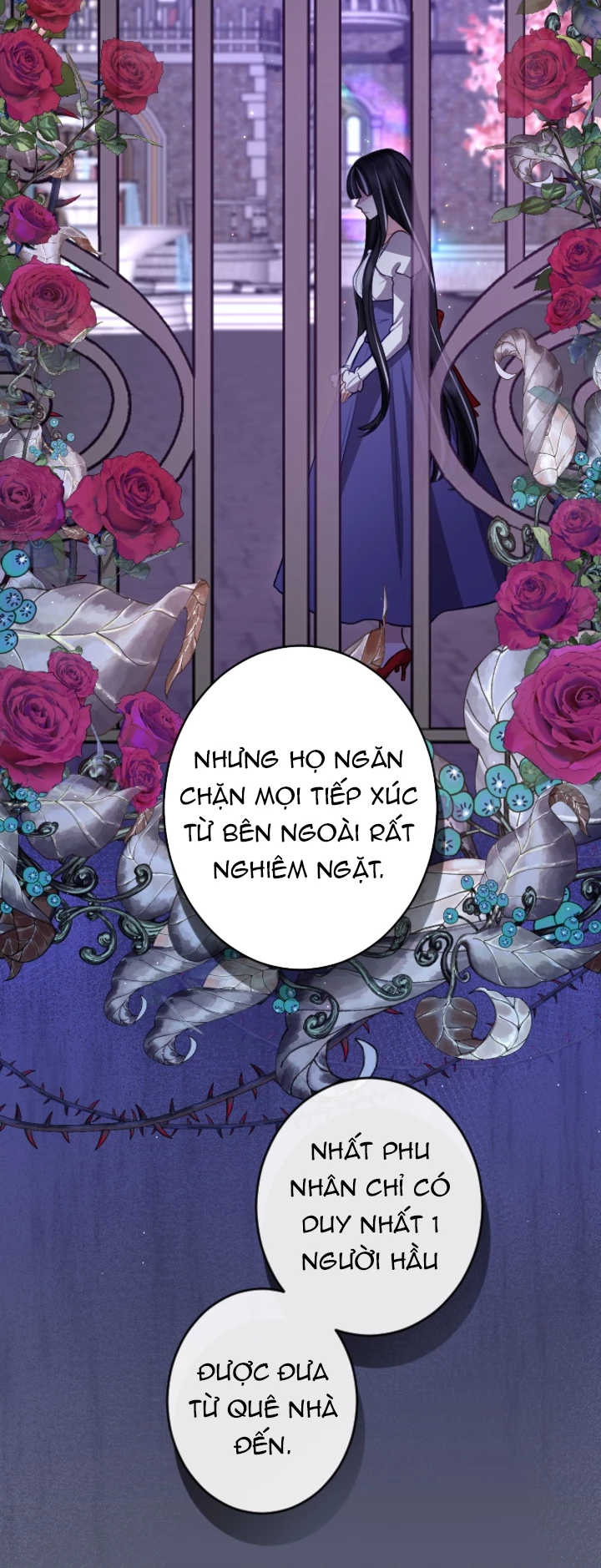 Tôi Sẽ Bị Trừ Khử Cùng Hoàng Đế Chapter 113 - Trang 2