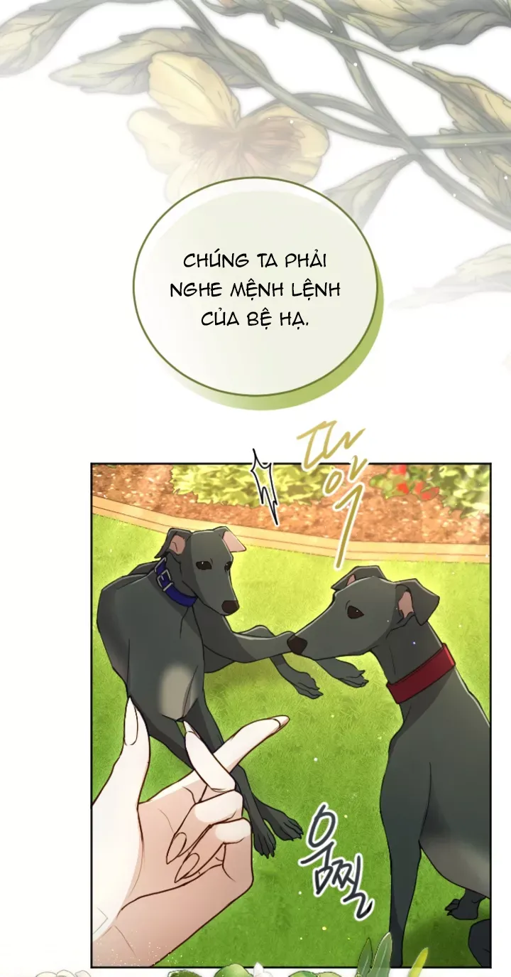 Tôi Sẽ Bị Trừ Khử Cùng Hoàng Đế Chapter 121.1 - Trang 2