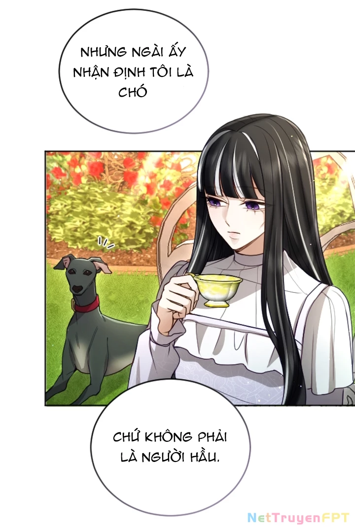 Tôi Sẽ Bị Trừ Khử Cùng Hoàng Đế Chapter 121 - Trang 2