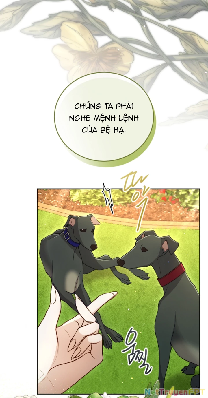 Tôi Sẽ Bị Trừ Khử Cùng Hoàng Đế Chapter 121 - Trang 2