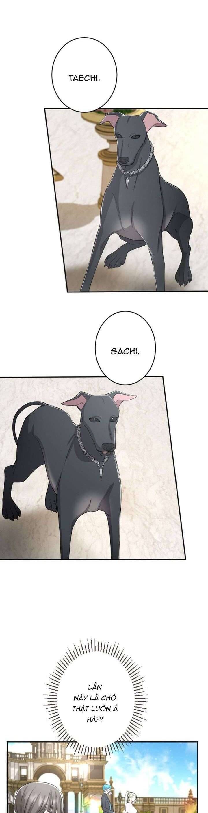 Tôi Sẽ Bị Trừ Khử Cùng Hoàng Đế Chapter 33 - Trang 2