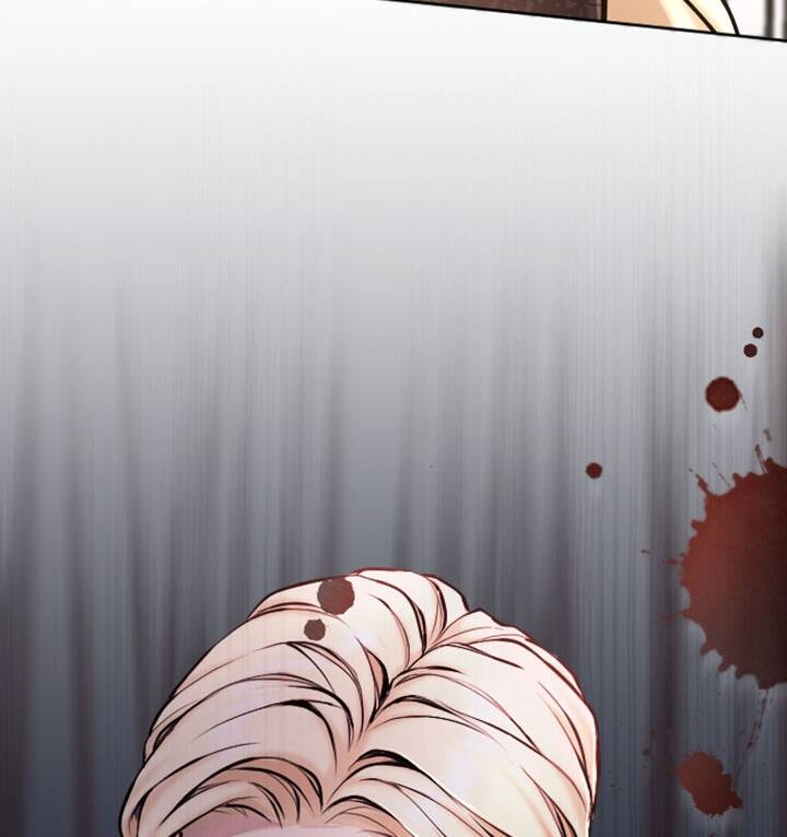 Tôi Sẽ Bị Trừ Khử Cùng Hoàng Đế Chapter 75.2 - Trang 2