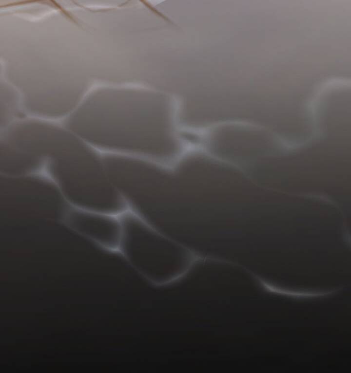 Tôi Sẽ Bị Trừ Khử Cùng Hoàng Đế Chapter 75.2 - Trang 2