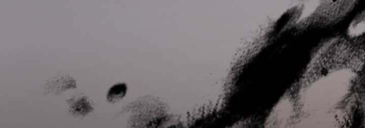 Tôi Sẽ Bị Trừ Khử Cùng Hoàng Đế Chapter 80.2 - Trang 2