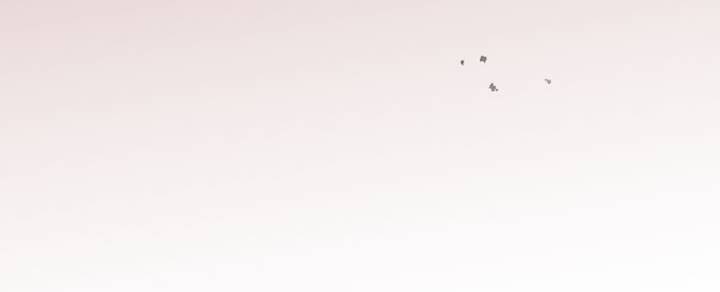 Tôi Sẽ Bị Trừ Khử Cùng Hoàng Đế Chapter 82.2 - Trang 2