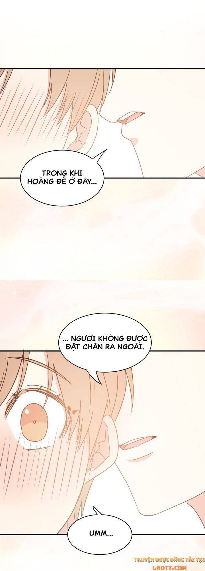 Tôi Sẽ Đi Đến Cùng Với Hoàng Đế Chapter 29 - Trang 2