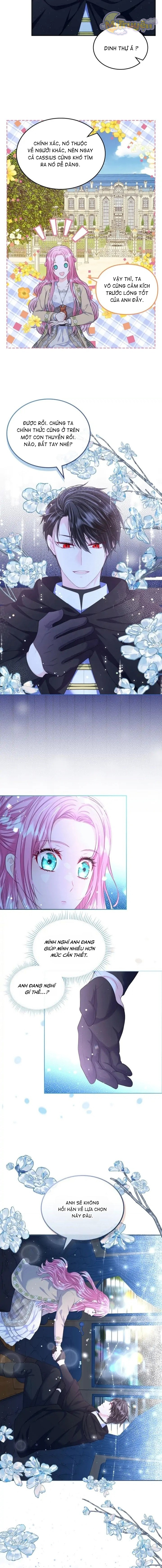 Tôi Sẽ Ly Hôn Với Anh Trai Nữ Chính Chapter 16 - Trang 2