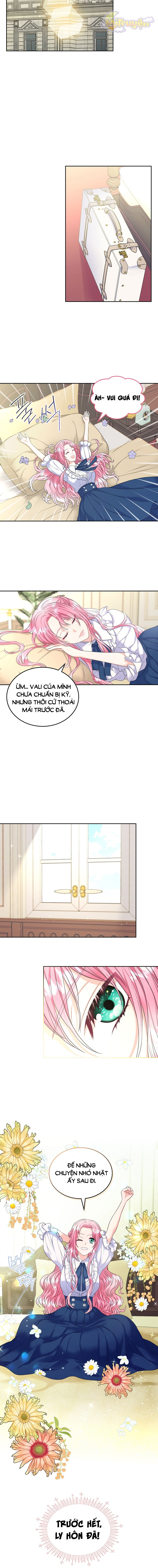 Tôi Sẽ Ly Hôn Với Anh Trai Nữ Chính Chapter 3 - Trang 2