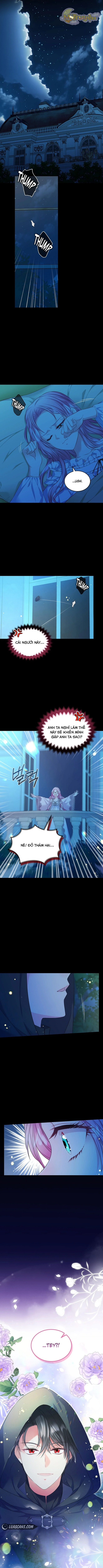 Tôi Sẽ Ly Hôn Với Anh Trai Nữ Chính Chapter 42 - Trang 2
