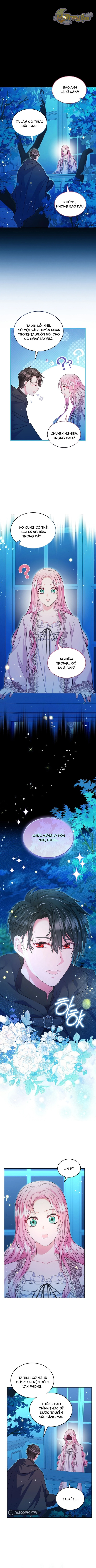 Tôi Sẽ Ly Hôn Với Anh Trai Nữ Chính Chapter 42 - Trang 2
