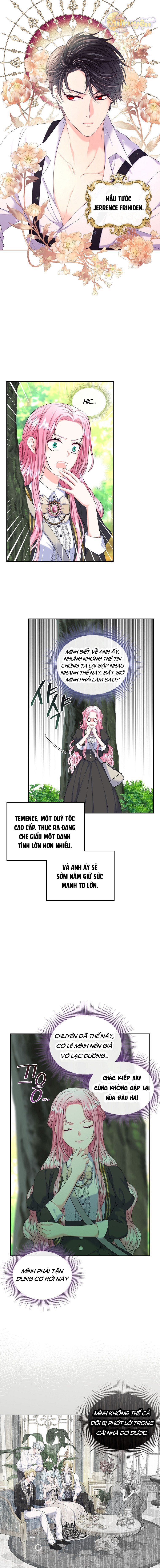 Tôi Sẽ Ly Hôn Với Anh Trai Nữ Chính Chapter 5 - Trang 2