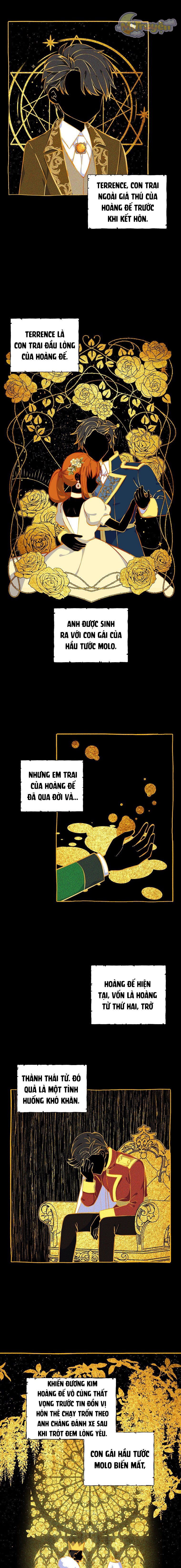 Tôi Sẽ Ly Hôn Với Anh Trai Nữ Chính Chapter 6 - Trang 2