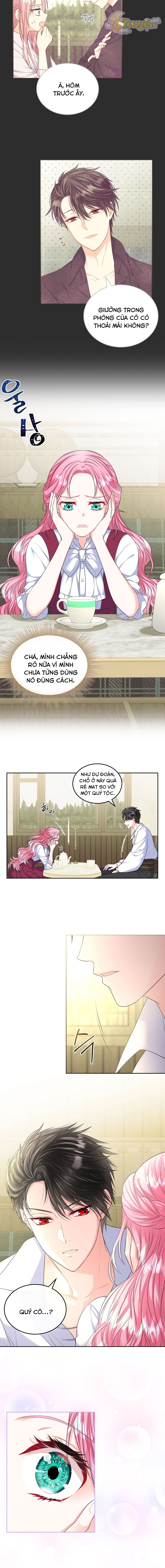 Tôi Sẽ Ly Hôn Với Anh Trai Nữ Chính Chapter 8 - Trang 2