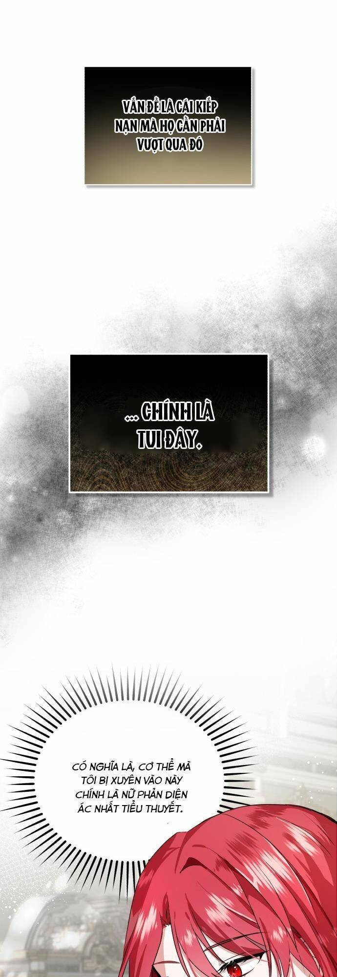 Tôi Sẽ Sống Thử Cuộc Đời Của Ác Nữ Chapter 1 - Trang 2