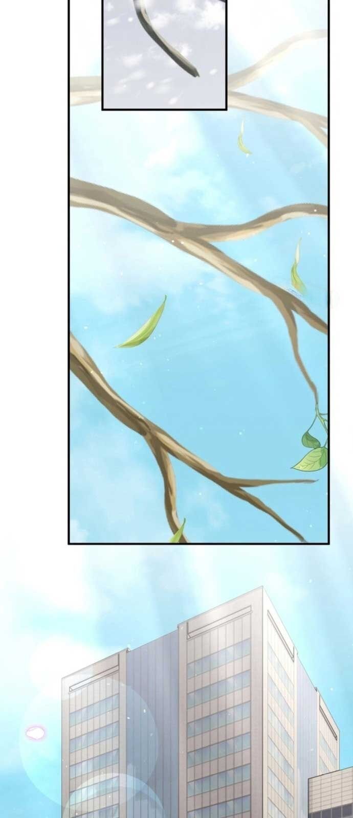 Tôi Sẽ Vực Dậy Gia Tộc Này Chapter 17 - Trang 2