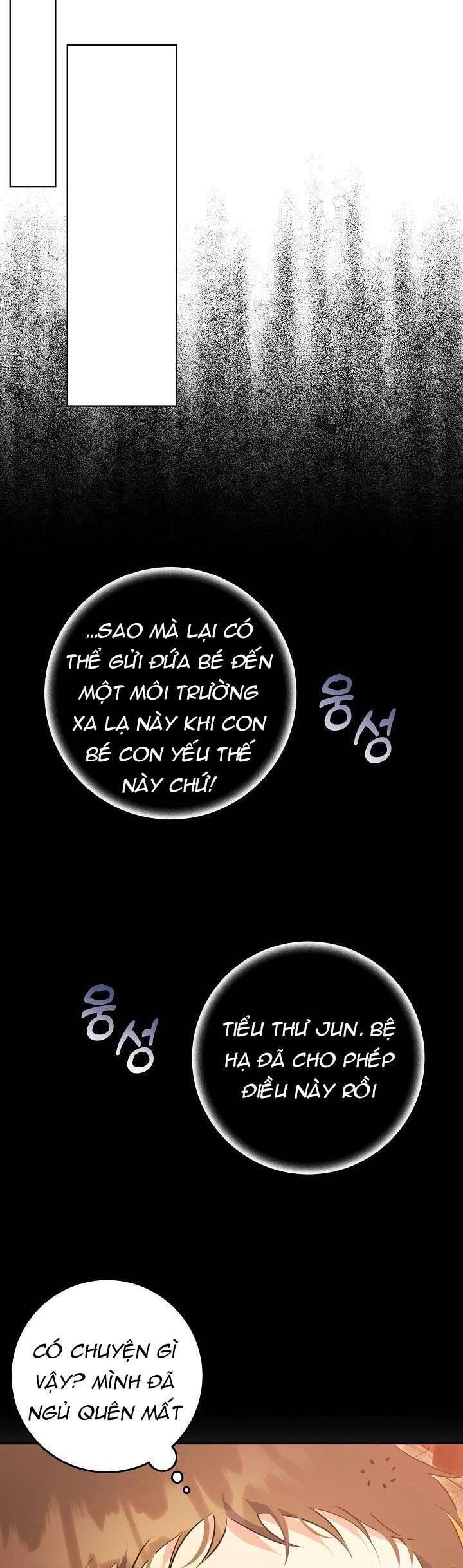 Tôi Sinh Ra Là Con Gái Của Một Thứ Phi Thấp Hèn Chapter 1 - Trang 2