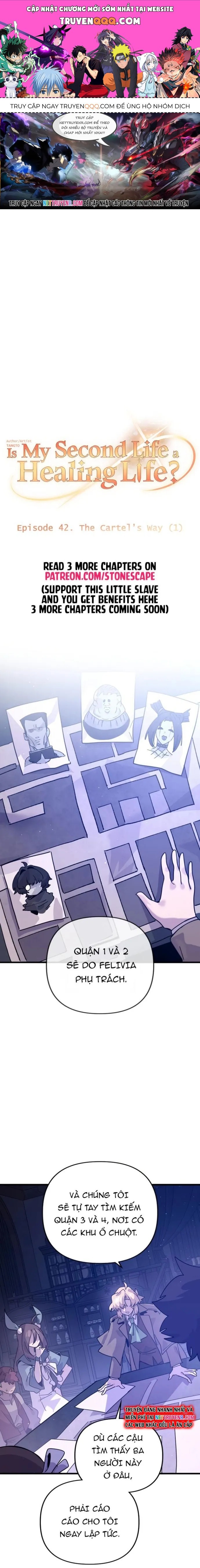 Tôi Sống Cuộc Đời Chữa Lành Ở Kiếp Thứ Hai Chapter 42 - Trang 2