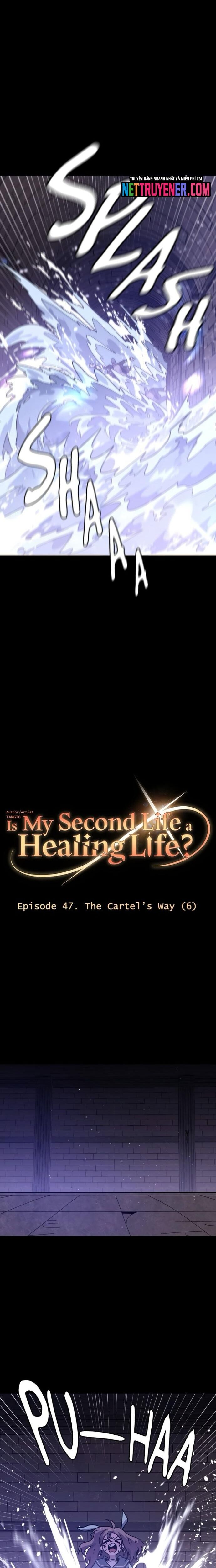 Tôi Sống Cuộc Đời Chữa Lành Ở Kiếp Thứ Hai Chapter 47 - Trang 2