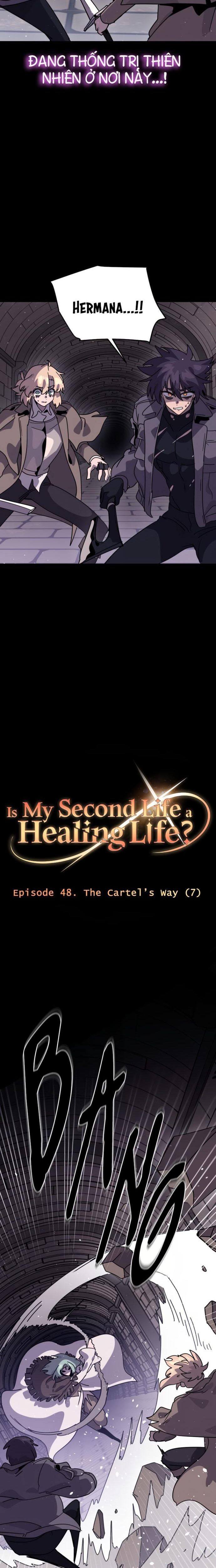 Tôi Sống Cuộc Đời Chữa Lành Ở Kiếp Thứ Hai Chapter 48 - Trang 2