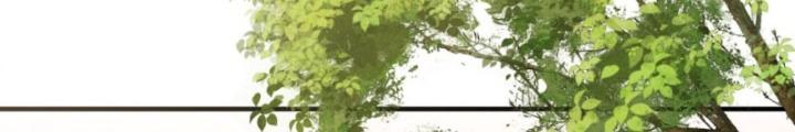 Tôi Thăng Cấp Bằng Cách Thưởng Cho Những Đệ Tử Chapter 75 - Trang 2