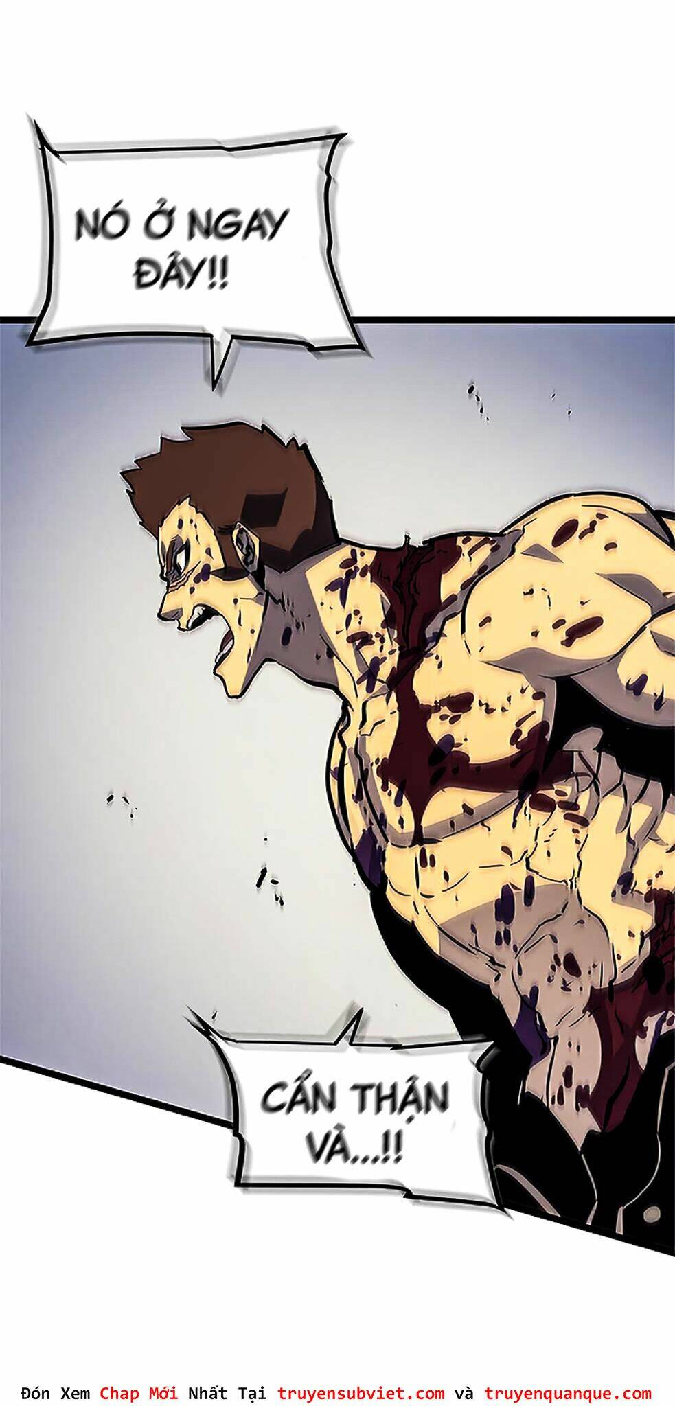 Tôi Thăng Cấp Một Mình Chapter 96 - Trang 2