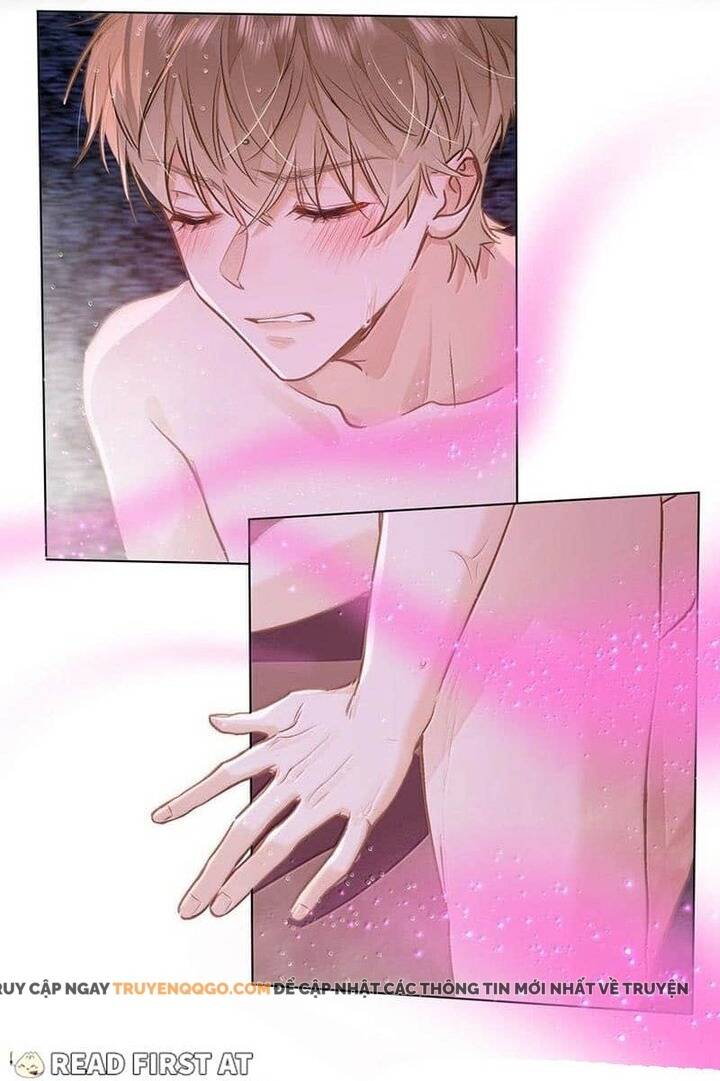 Tôi Thích Pheromone Của Cậu Chapter 62 - Trang 2