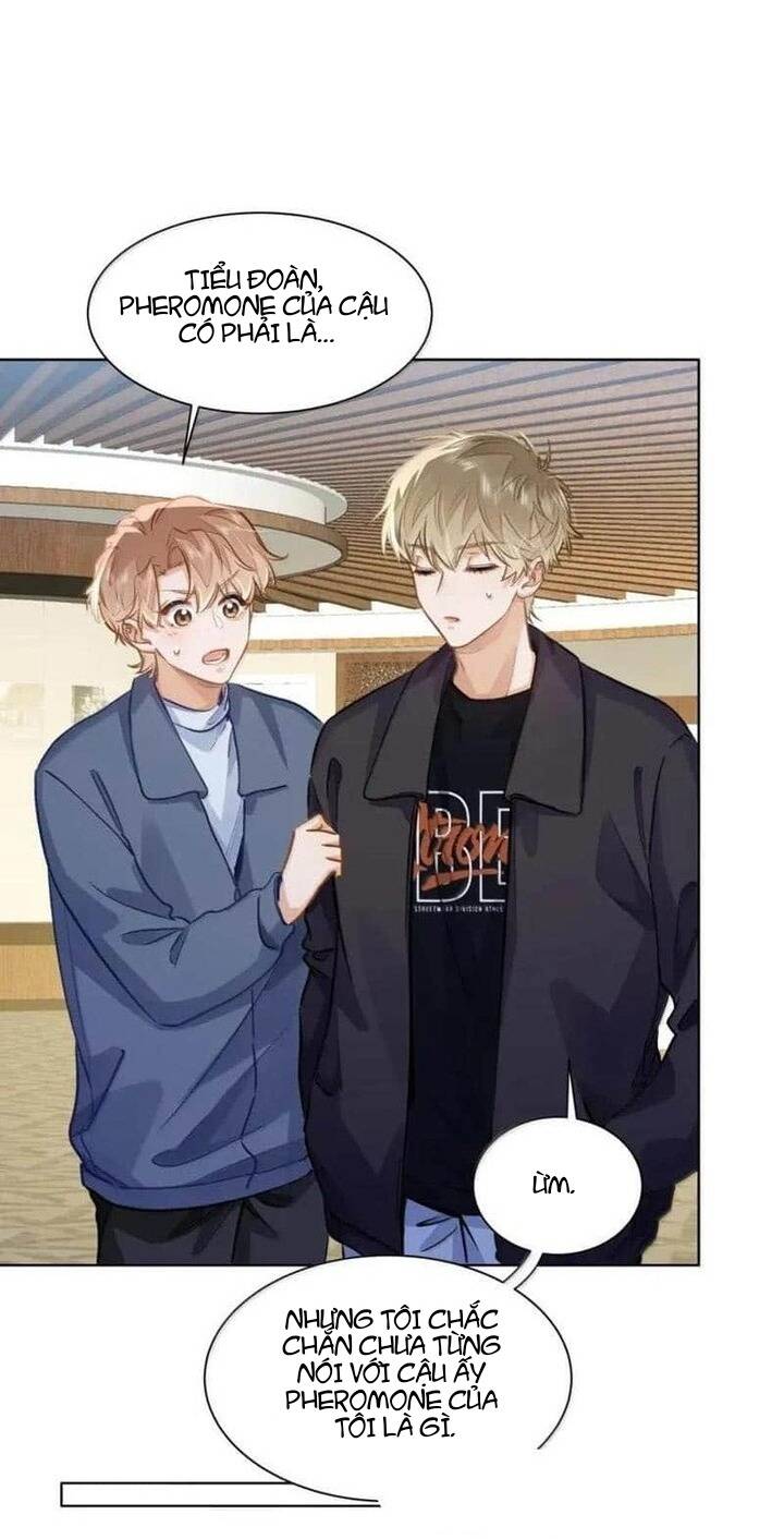 Tôi Thích Pheromone Của Cậu Chapter 64 - Trang 2