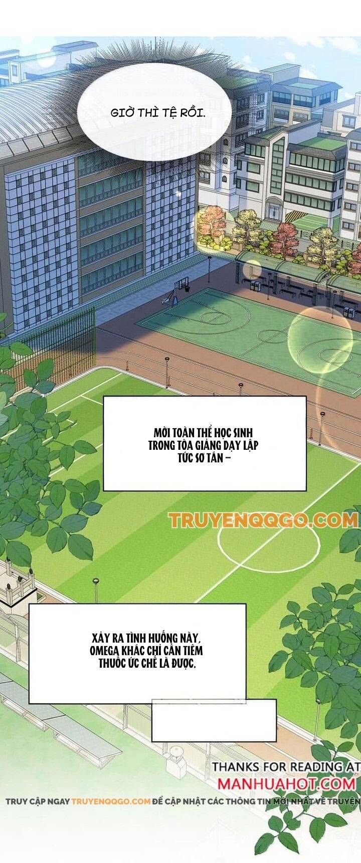 Tôi Thích Pheromone Của Cậu Chapter 65 - Trang 2