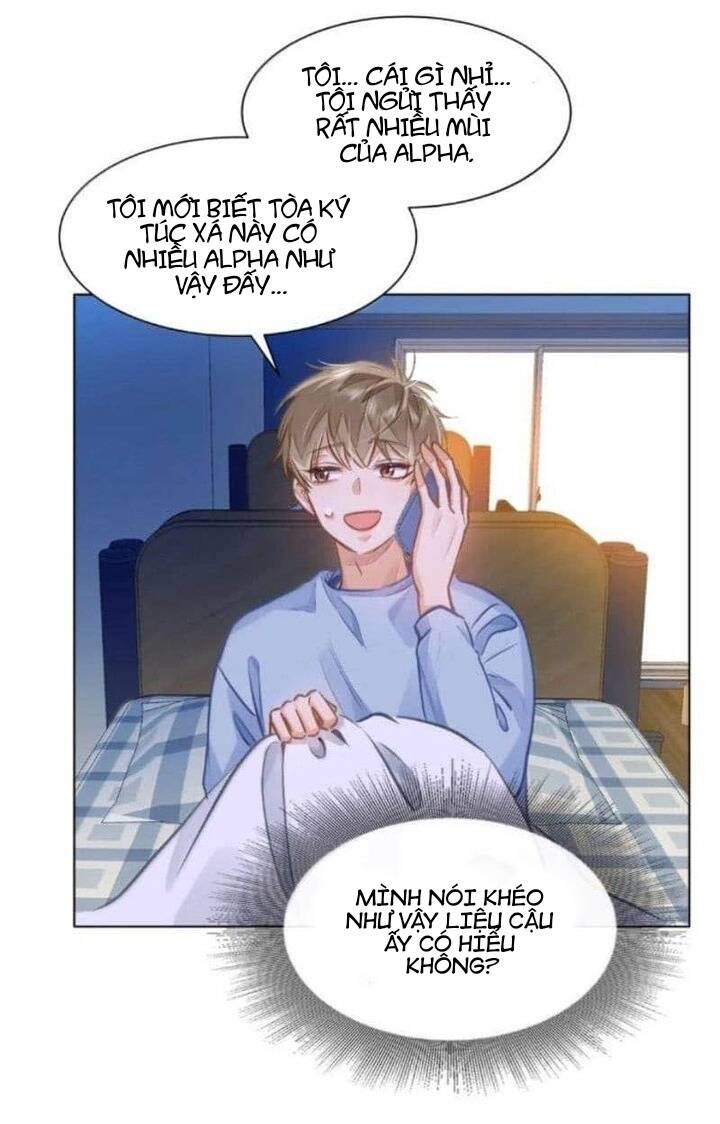 Tôi Thích Pheromone Của Cậu Chapter 68 - Trang 2