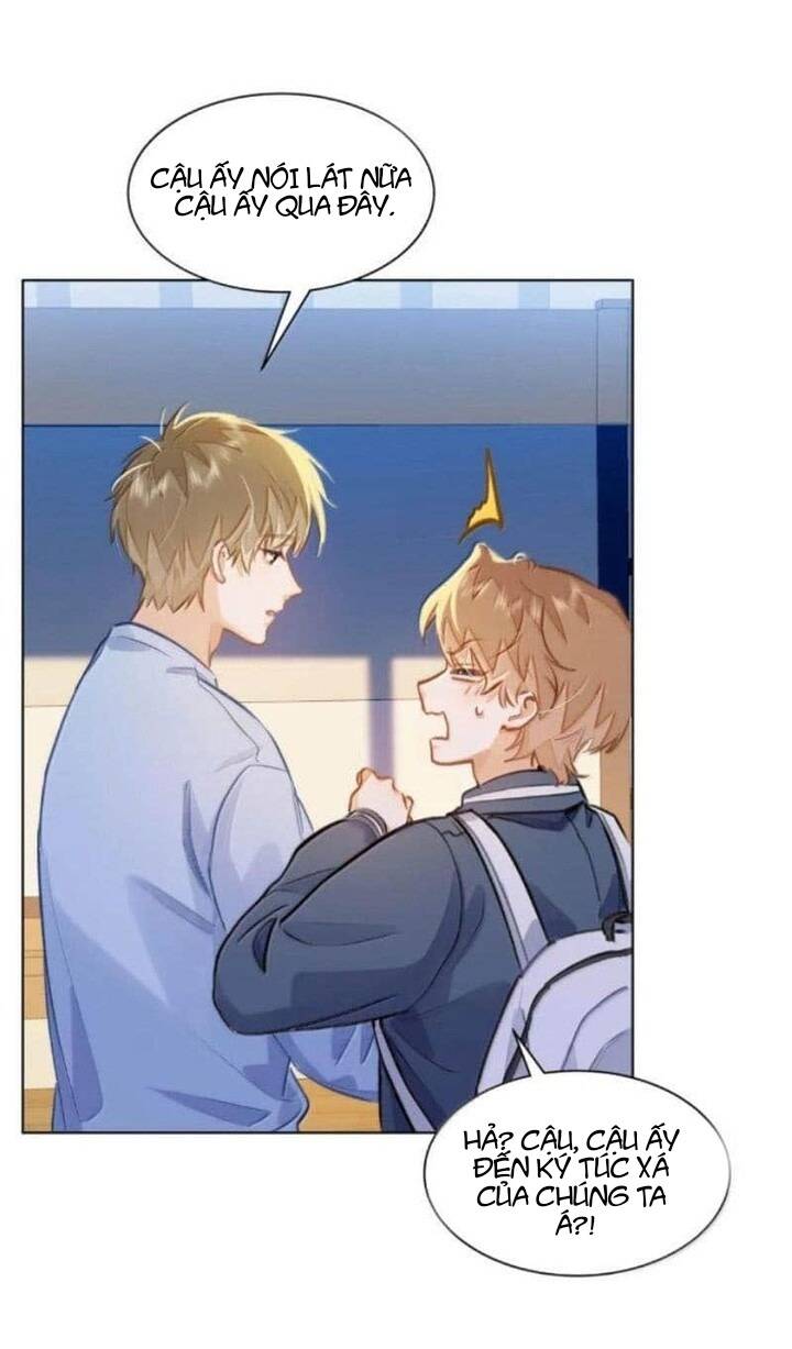 Tôi Thích Pheromone Của Cậu Chapter 68 - Trang 2