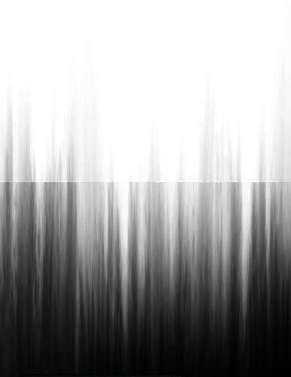 Tôi Thuần Hóa Chó Điên Của Chồng Cũ Chapter 43.1 - Trang 2