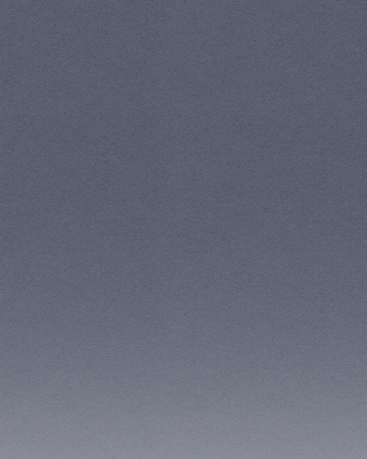 Tôi Trở Thành Hầu Gái Của Một Công Tước Chapter 49 - Trang 2