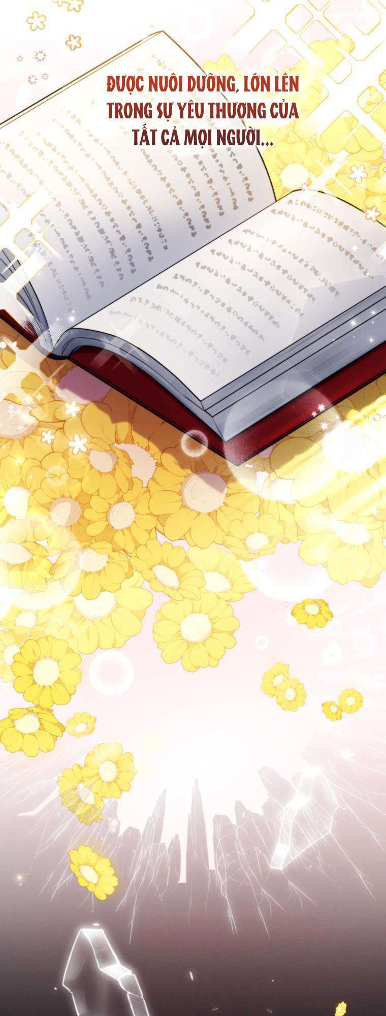 Tôi Trở Thành Mẹ Kế Của Gia Đình Hắc Ám Chapter 1 - Trang 2