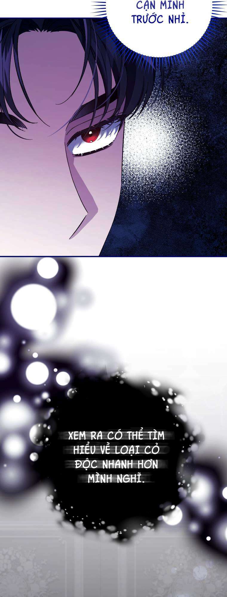 Tôi Trở Thành Mẹ Kế Của Gia Đình Hắc Ám Chapter 9 - Trang 2