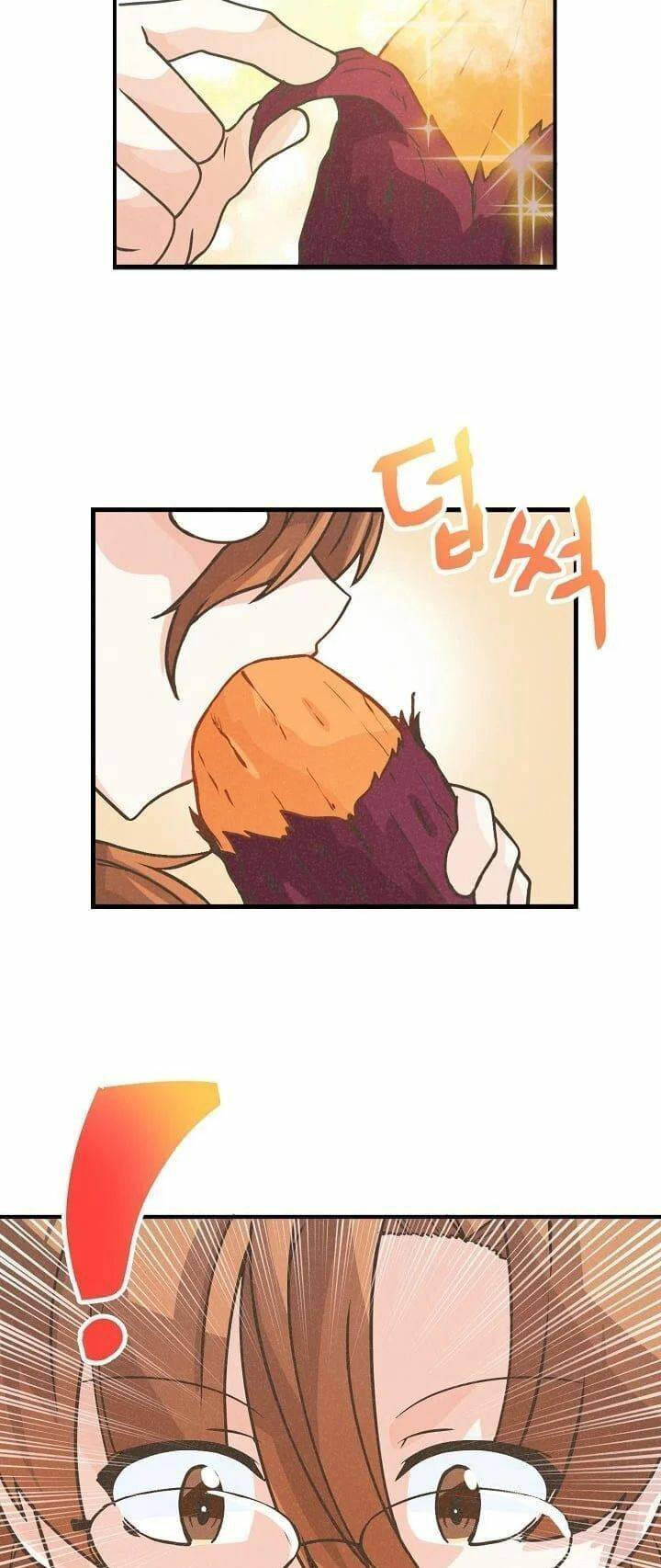 Tôi Trở Thành Một Nông Dân Chapter 17 - Trang 2