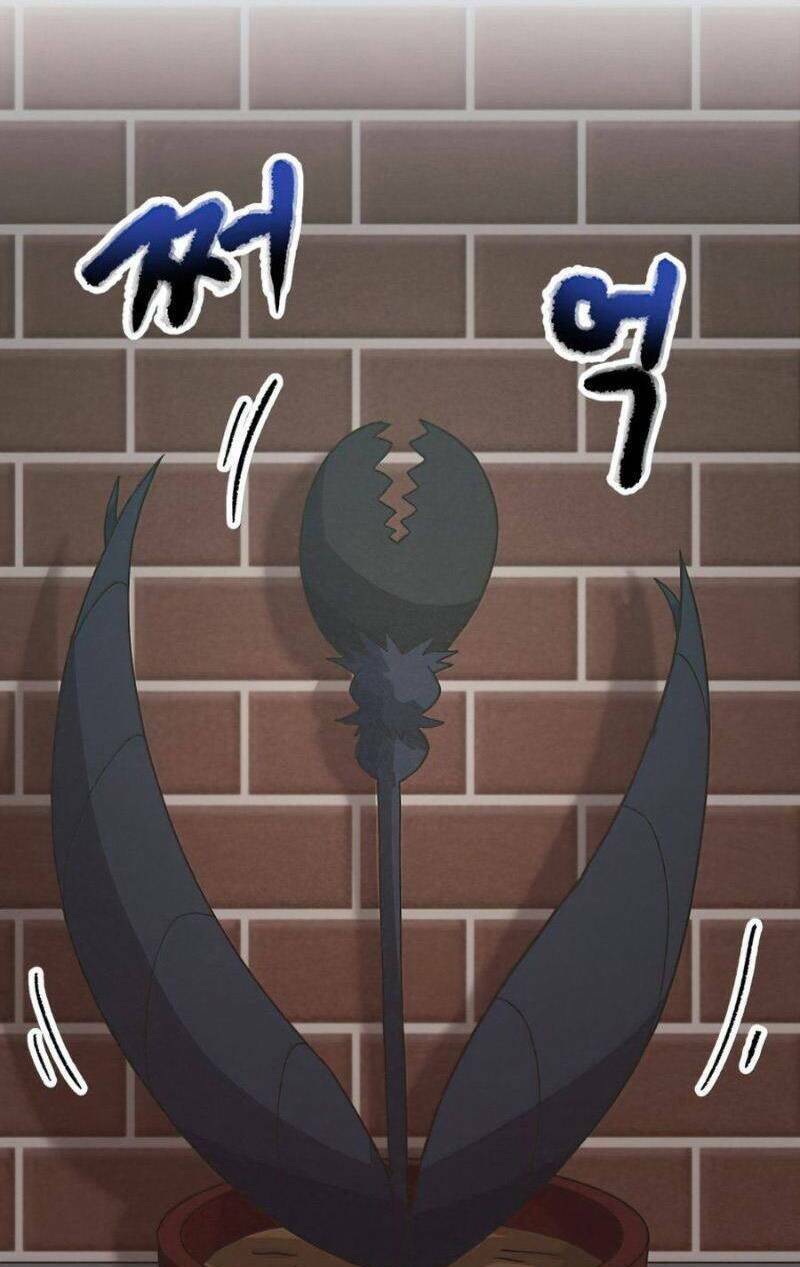 Tôi Trở Thành Một Nông Dân Chapter 69 - Trang 2