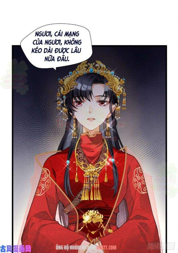 Tôi Trở Thành Tổ Tông Của 5 Vị Đại Lão Chapter 1 - Trang 2