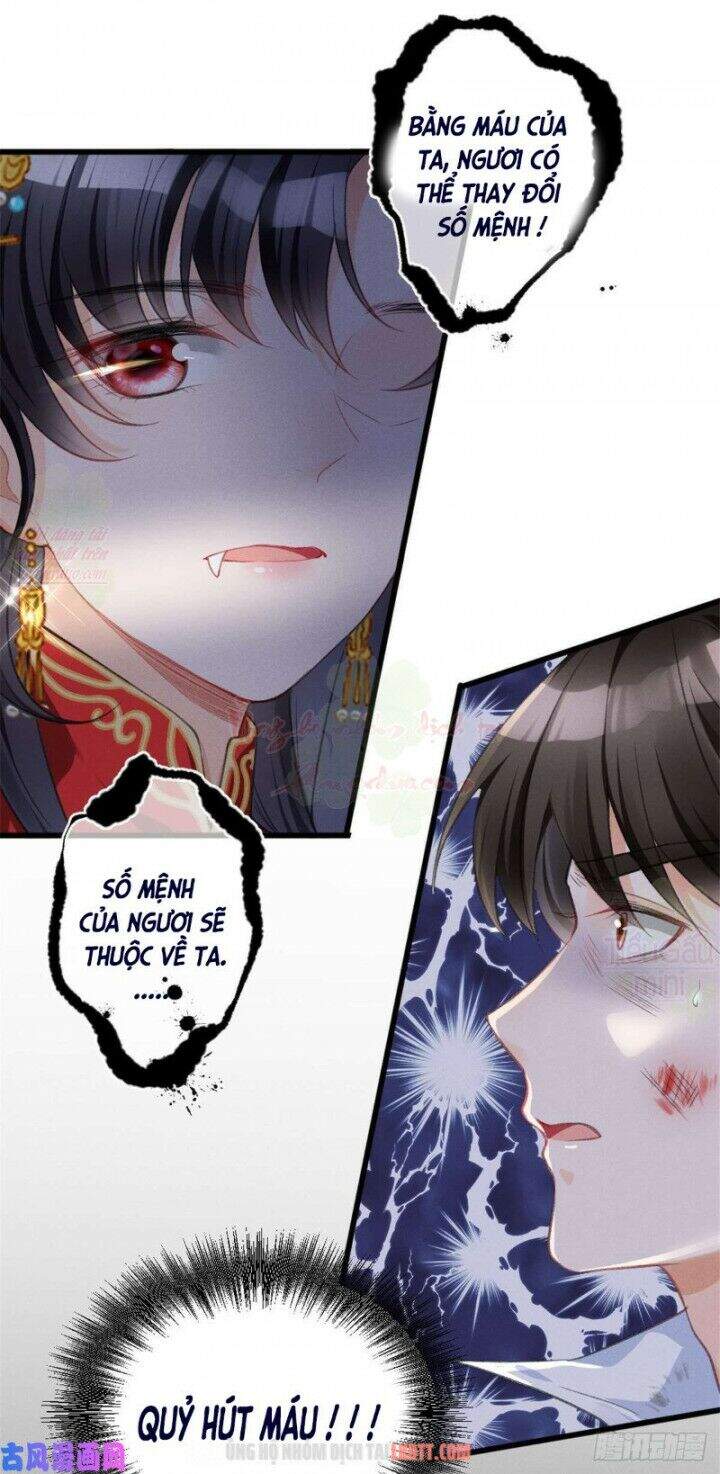 Tôi Trở Thành Tổ Tông Của 5 Vị Đại Lão Chapter 1 - Trang 2