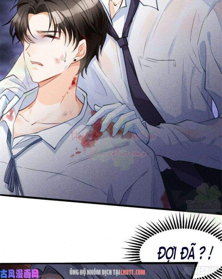 Tôi Trở Thành Tổ Tông Của 5 Vị Đại Lão Chapter 2 - Trang 2