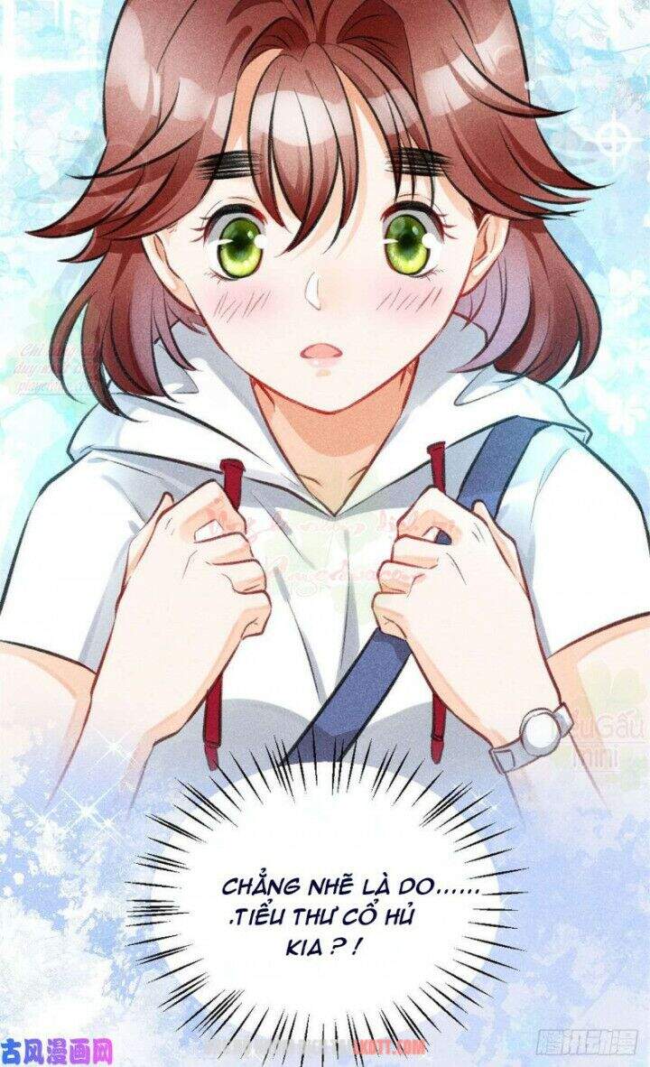 Tôi Trở Thành Tổ Tông Của 5 Vị Đại Lão Chapter 3 - Trang 2