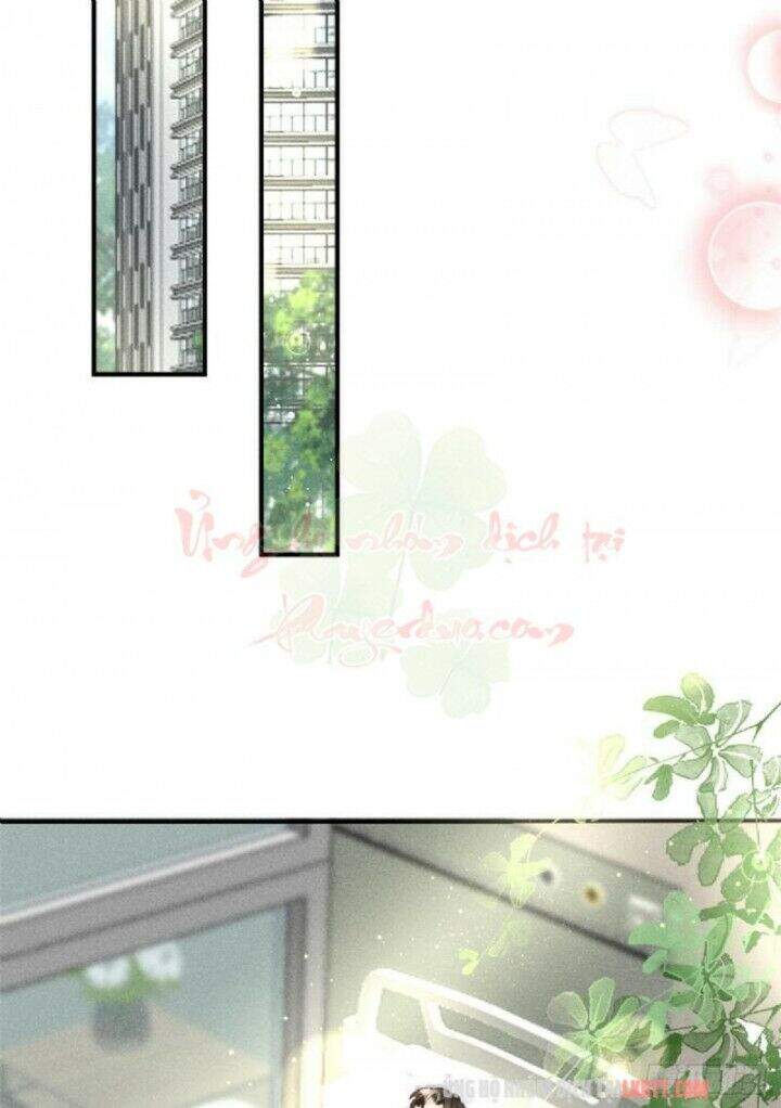 Tôi Trở Thành Tổ Tông Của 5 Vị Đại Lão Chapter 4 - Trang 2