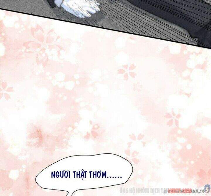 Tôi Trở Thành Tổ Tông Của 5 Vị Đại Lão Chapter 5 - Trang 2