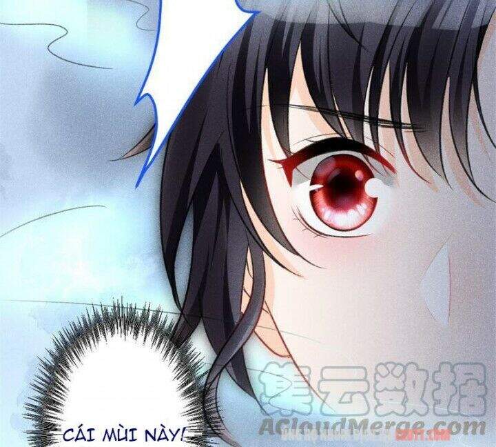 Tôi Trở Thành Tổ Tông Của 5 Vị Đại Lão Chapter 5 - Trang 2