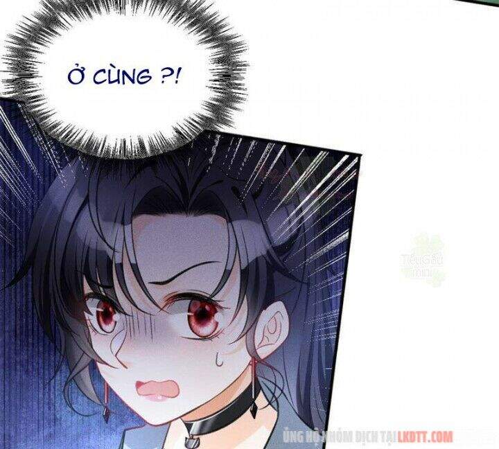 Tôi Trở Thành Tổ Tông Của 5 Vị Đại Lão Chapter 6 - Trang 2