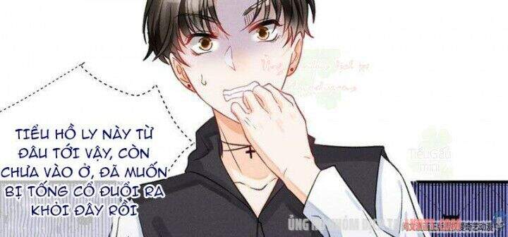 Tôi Trở Thành Tổ Tông Của 5 Vị Đại Lão Chapter 6 - Trang 2