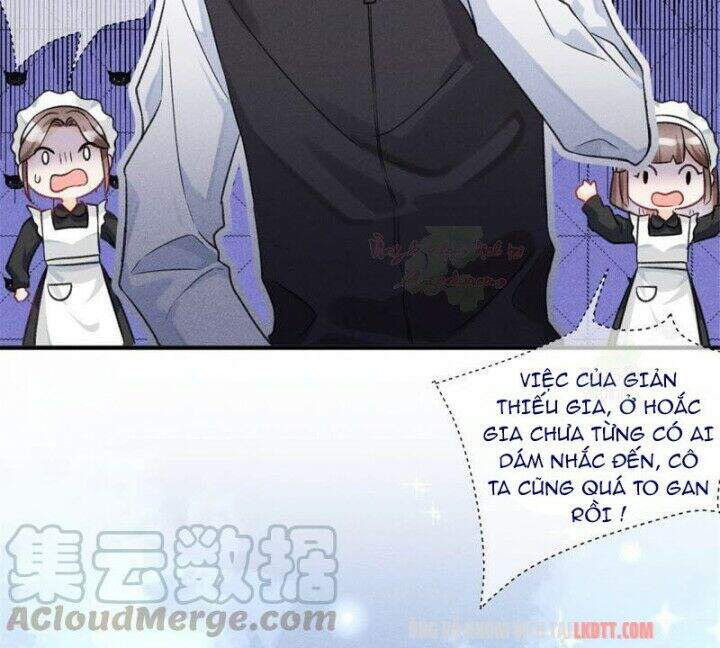 Tôi Trở Thành Tổ Tông Của 5 Vị Đại Lão Chapter 6 - Trang 2